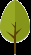 tree long13