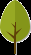 treelong 13